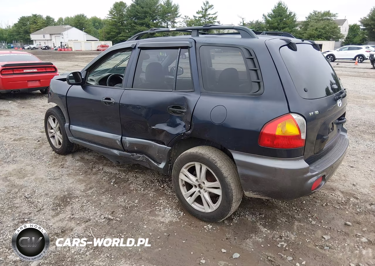 2004 Hyundai Santa Fe Gls-Lx VIN:KM8SC13EX4U797722 - 3
