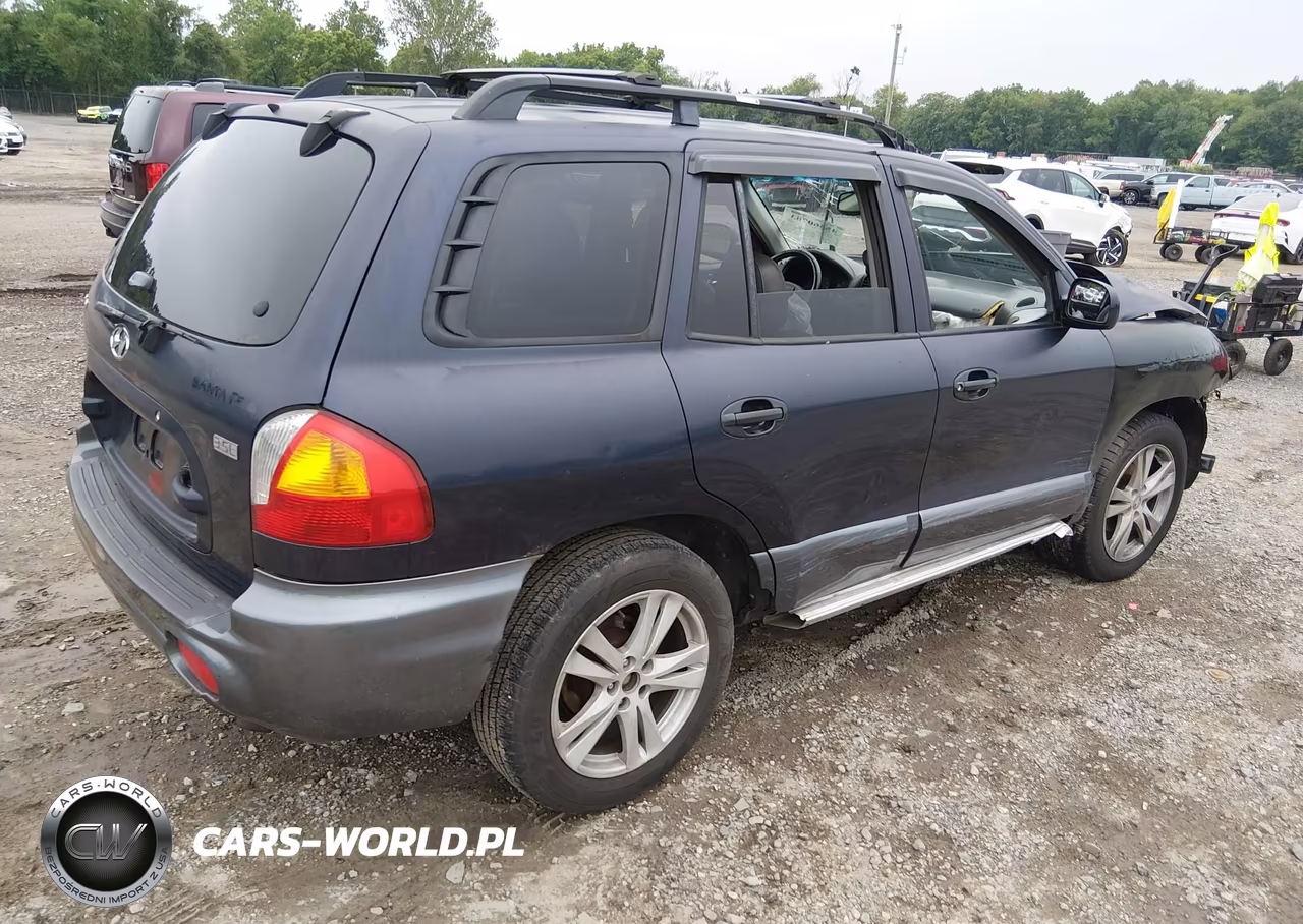 2004 Hyundai Santa Fe Gls-Lx VIN:KM8SC13EX4U797722 - 4