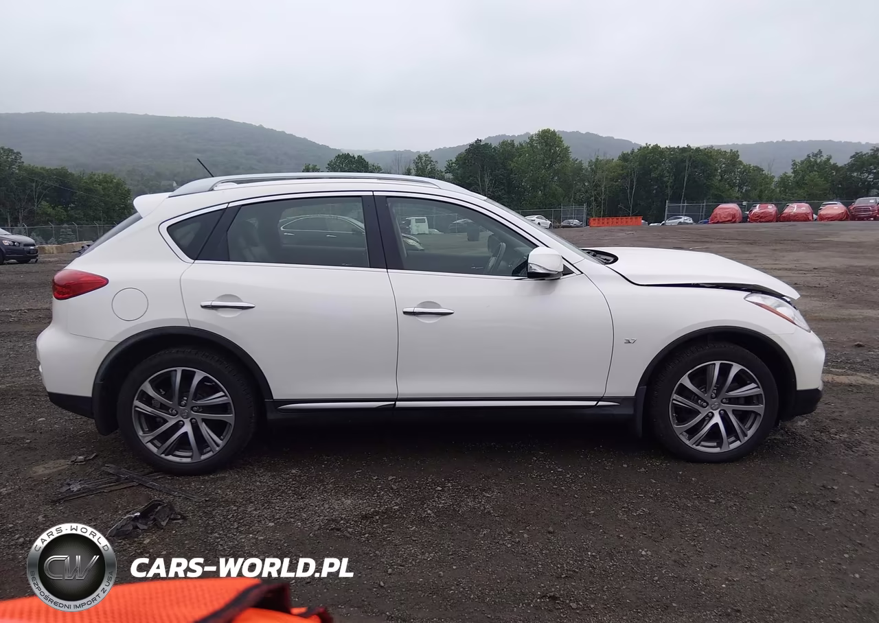 2017 Infiniti Qx50 VIN:JN1BJ0RR0HM411378 - 13