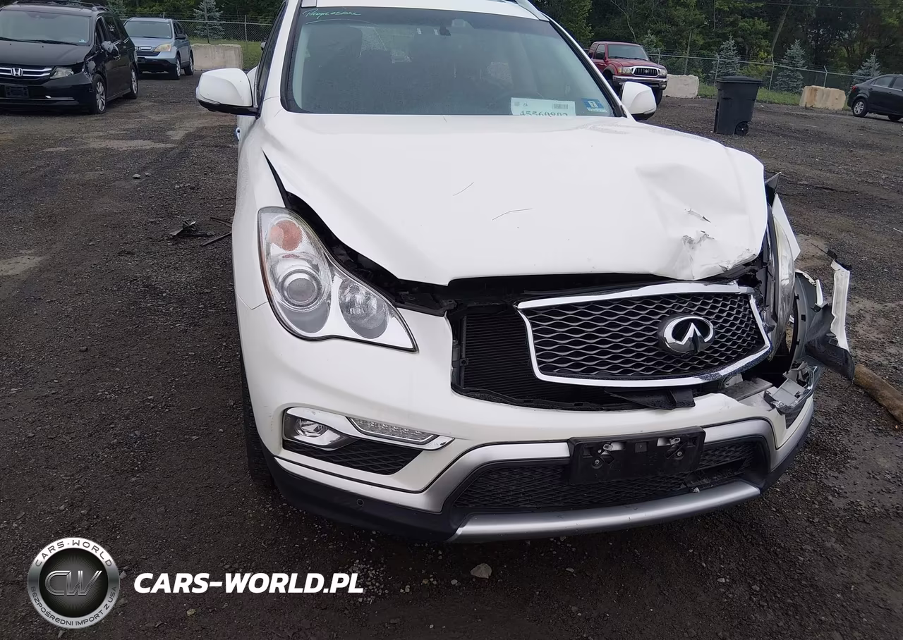 2017 Infiniti Qx50 VIN:JN1BJ0RR0HM411378 - 17
