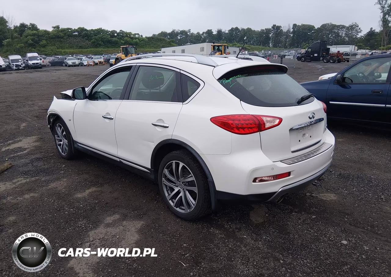 2017 Infiniti Qx50 VIN:JN1BJ0RR0HM411378 - 3