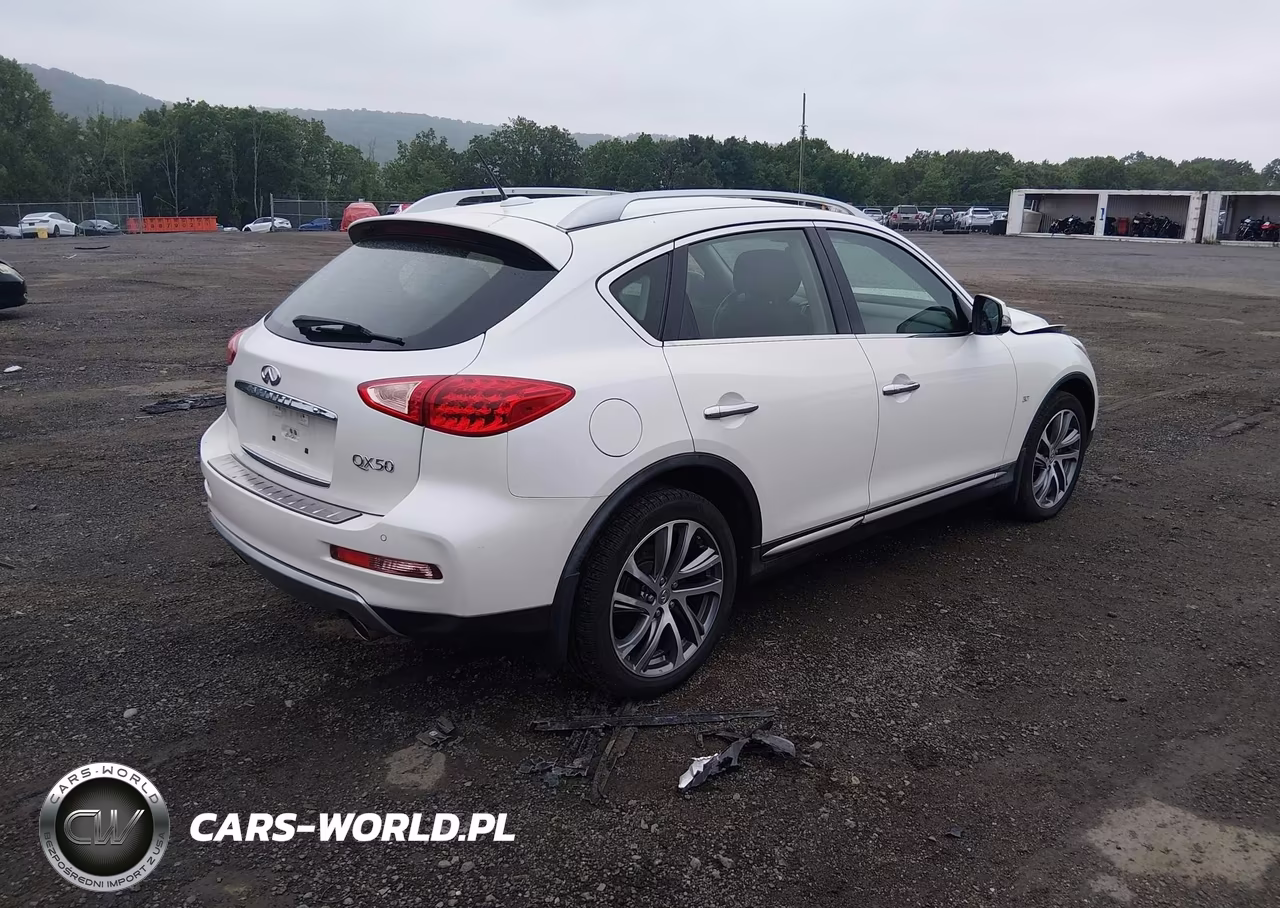2017 Infiniti Qx50 VIN:JN1BJ0RR0HM411378 - 4