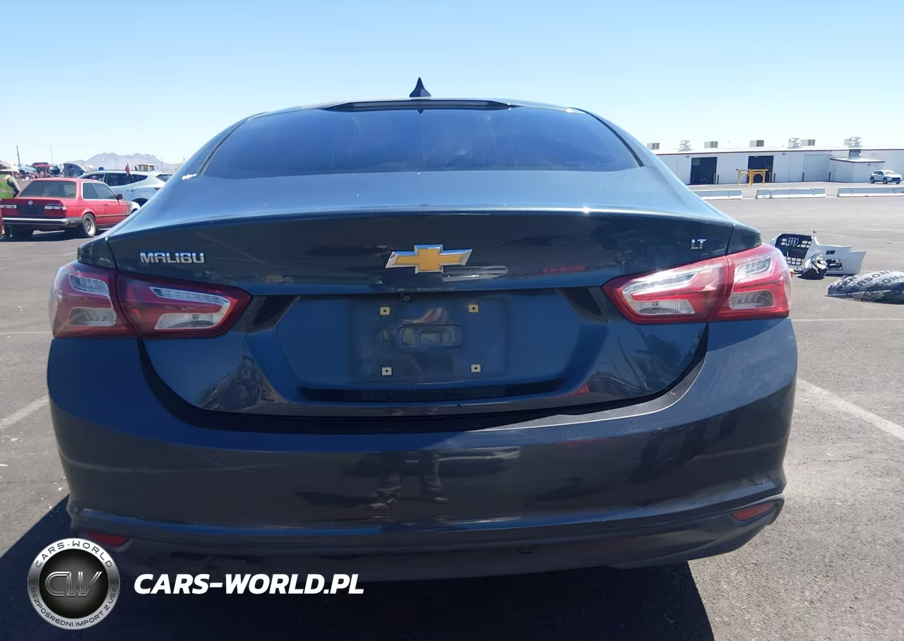 2019 Chevrolet Malibu Lt VIN:1G1ZD5ST4KF166045 - 17