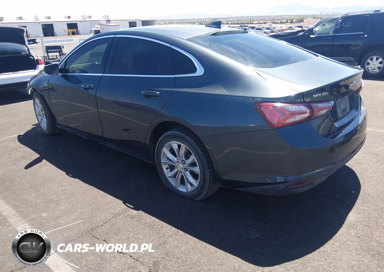 2019 Chevrolet Malibu Lt VIN:1G1ZD5ST4KF166045 - 3