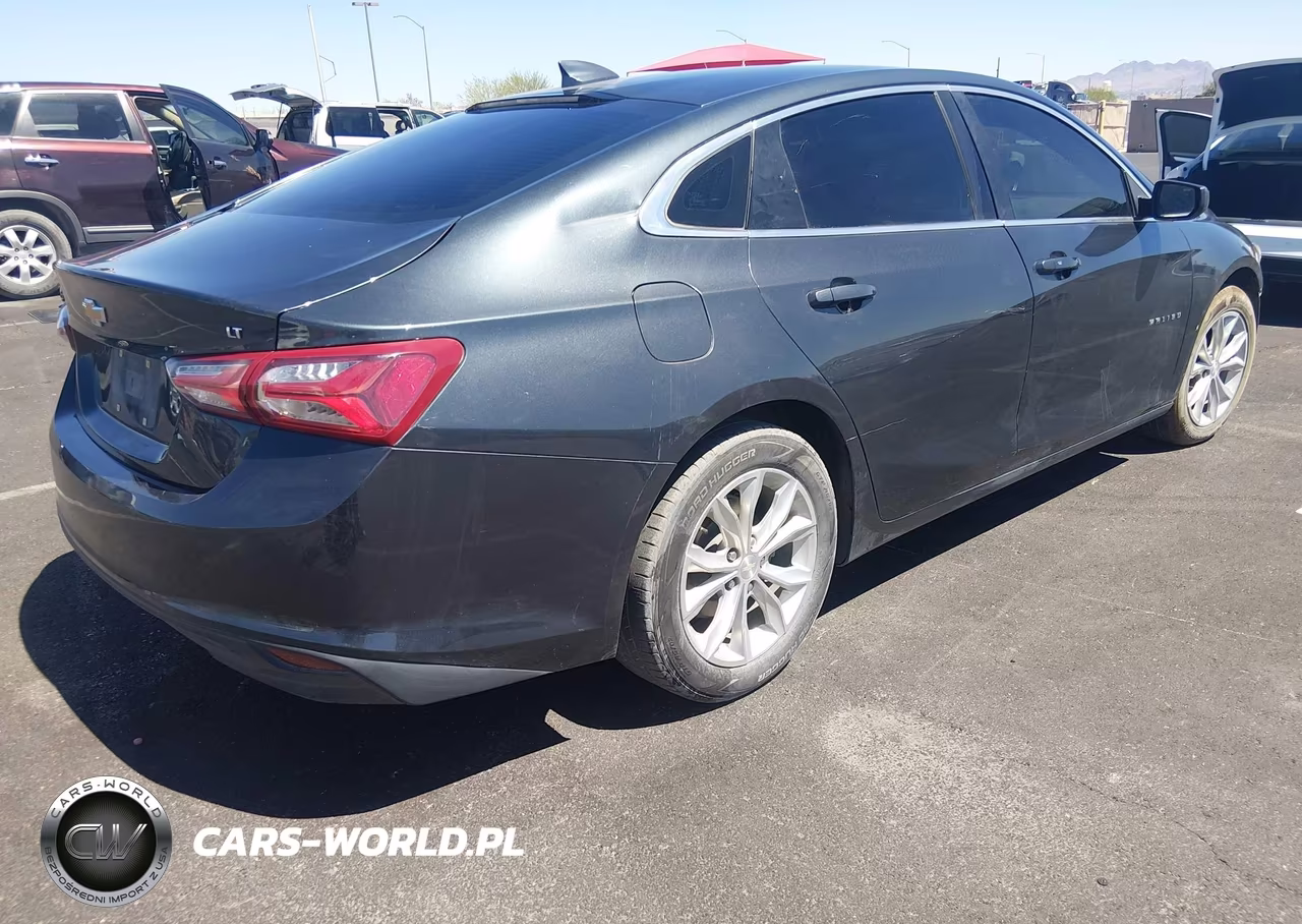 2019 Chevrolet Malibu Lt VIN:1G1ZD5ST4KF166045 - 4