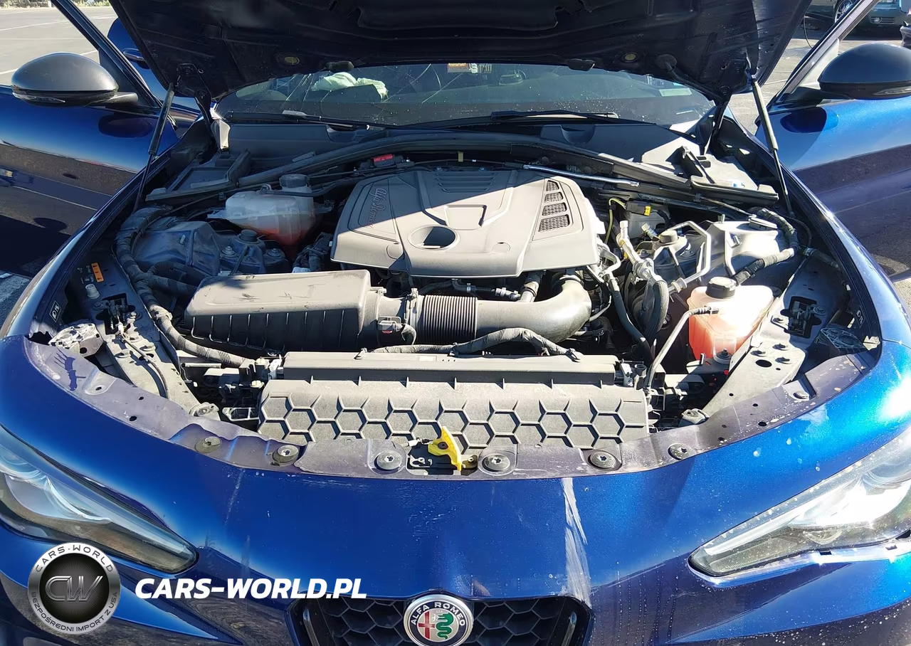 2020 Alfa Romeo Giulia Ti Sport Rwd VIN:ZARFAMBN7L7631613 - 10