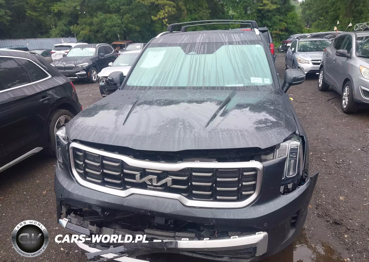 2024 Kia Telluride Sx Prestige VIN:5XYP5DGC1RG436399 - 12