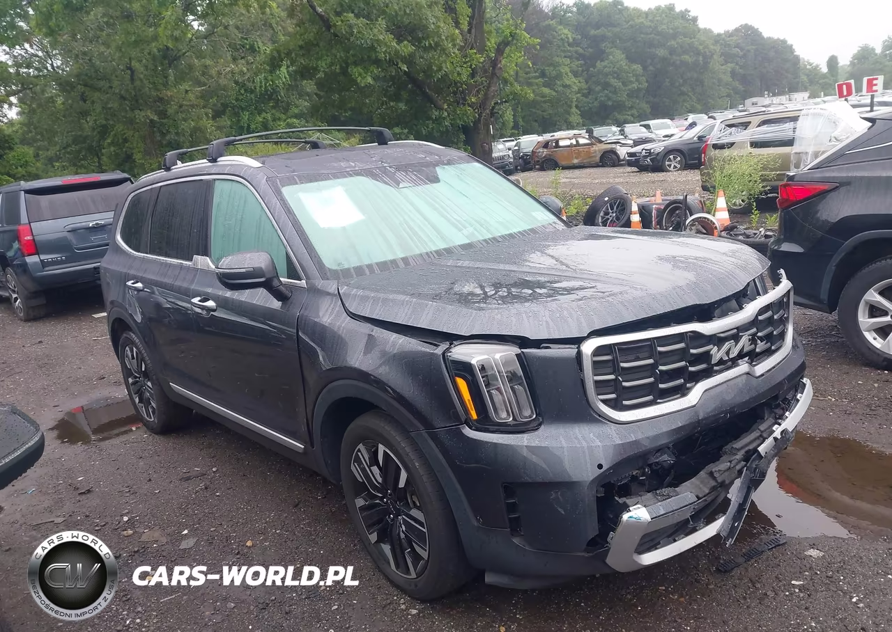 2024 Kia Telluride Sx Prestige VIN:5XYP5DGC1RG436399 - 13