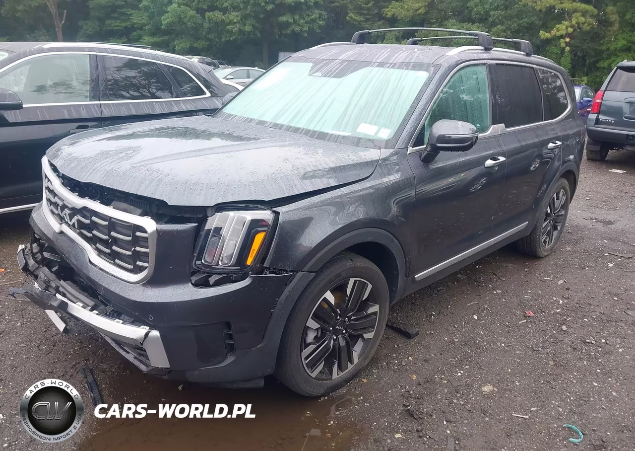 2024 Kia Telluride Sx Prestige VIN:5XYP5DGC1RG436399 - 2
