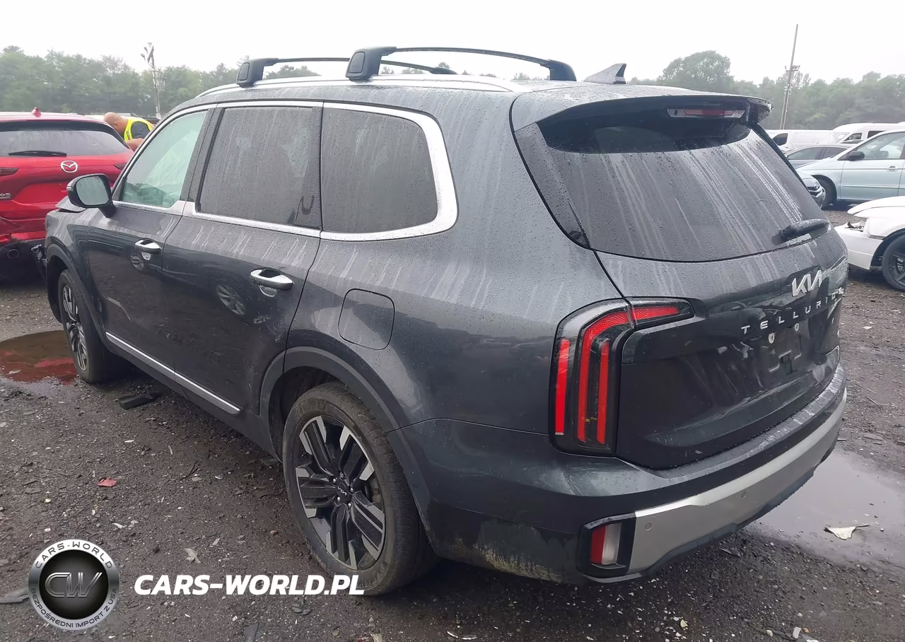 2024 Kia Telluride Sx Prestige VIN:5XYP5DGC1RG436399 - 3