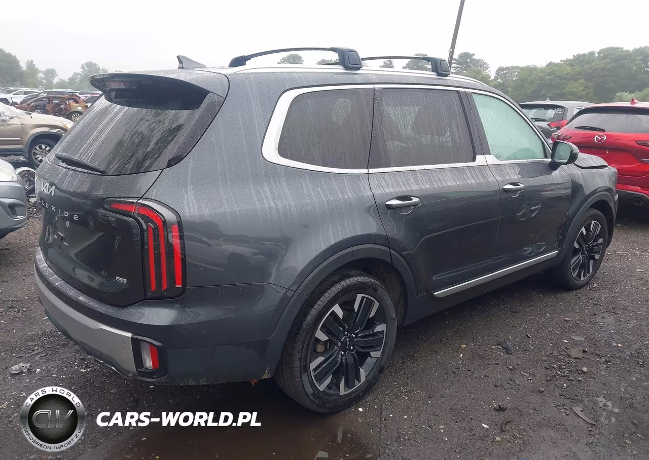 2024 Kia Telluride Sx Prestige VIN:5XYP5DGC1RG436399 - 4