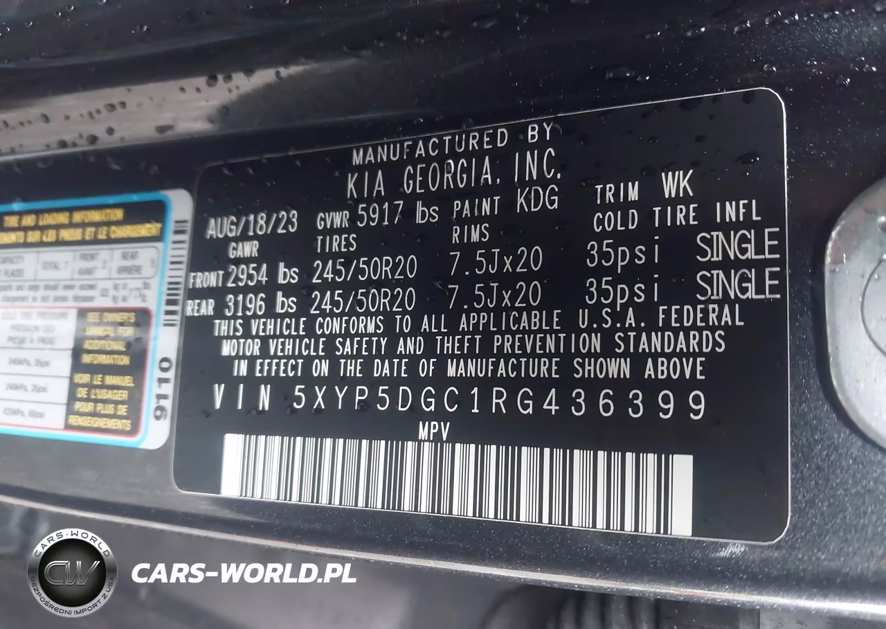 2024 Kia Telluride Sx Prestige VIN:5XYP5DGC1RG436399 - 9