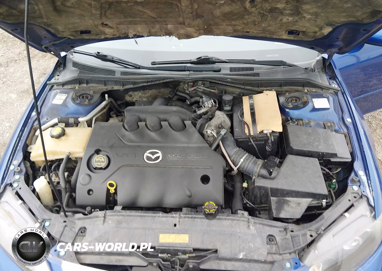 2004 Mazda Mazda6 S VIN:1YVFP80D245N64100 - 10