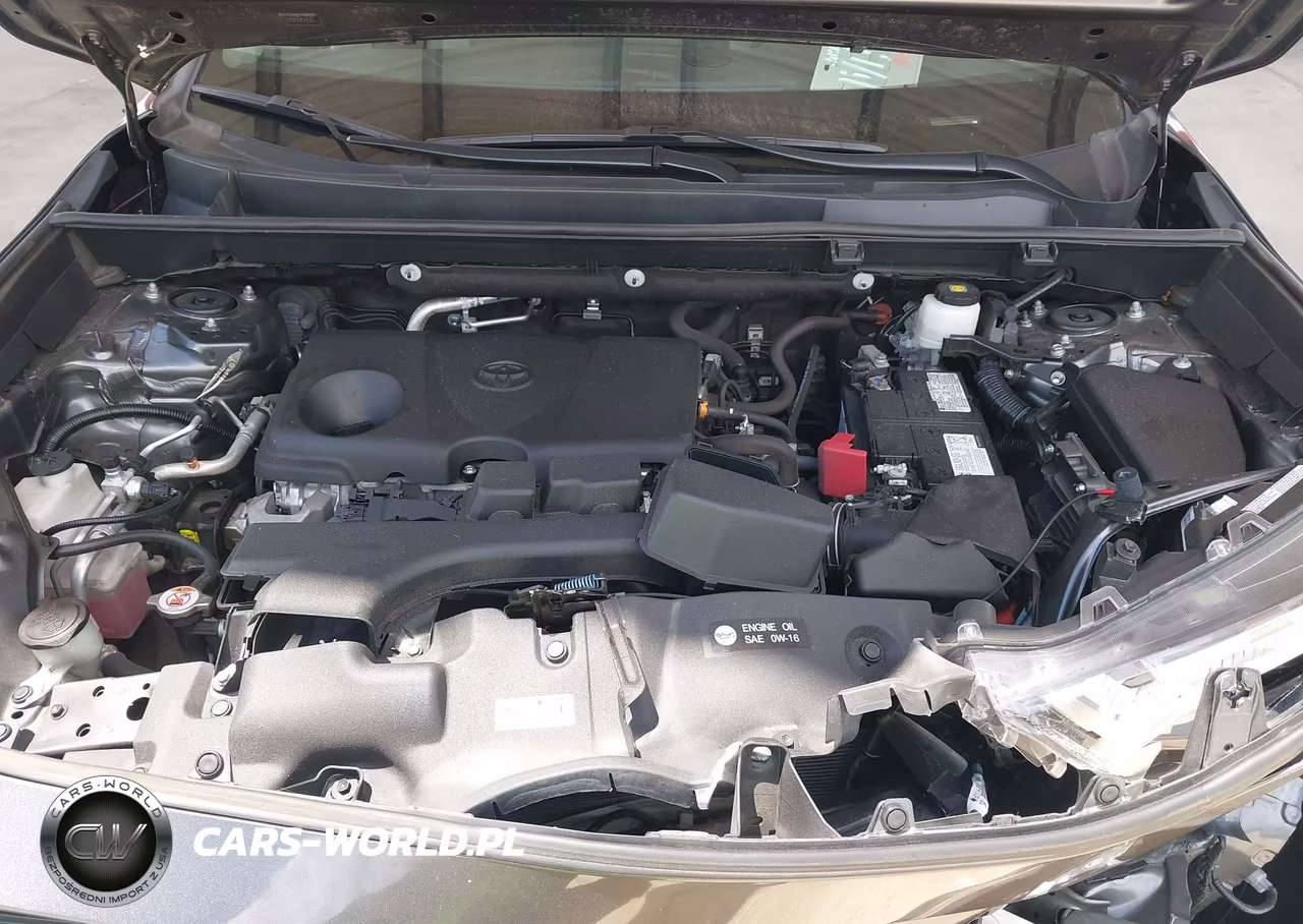 2023 Toyota Rav4 Xle VIN:2T3W1RFV6PC232737 - 10