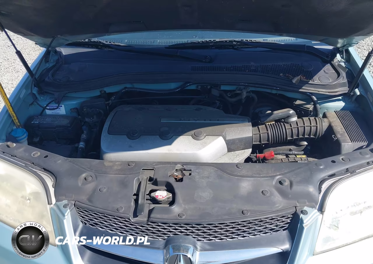 2003 Acura Mdx VIN:2HNYD18263H535427 - 10
