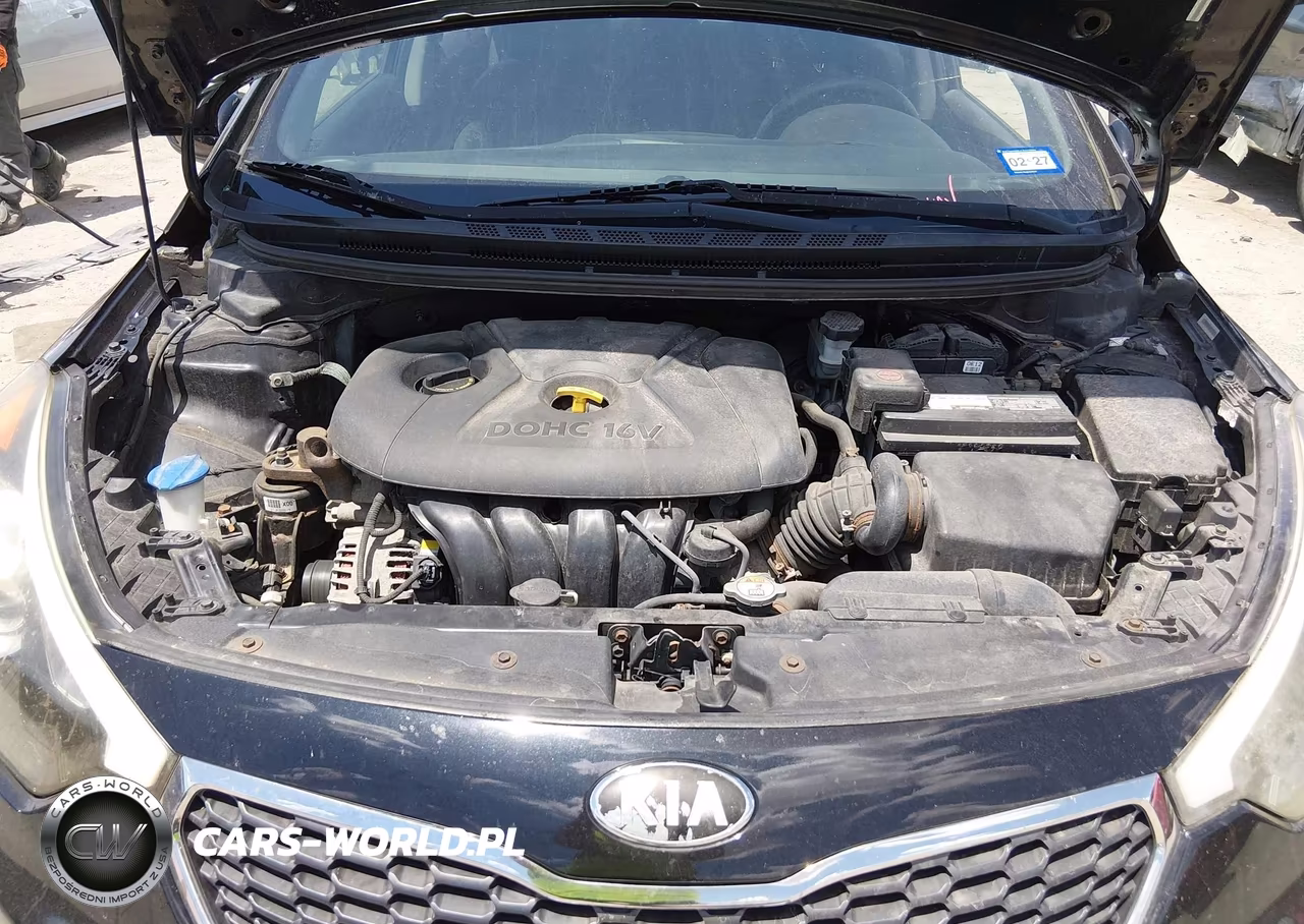 2014 Kia Forte Lx VIN:KNAFX4A63E5184339 - 10