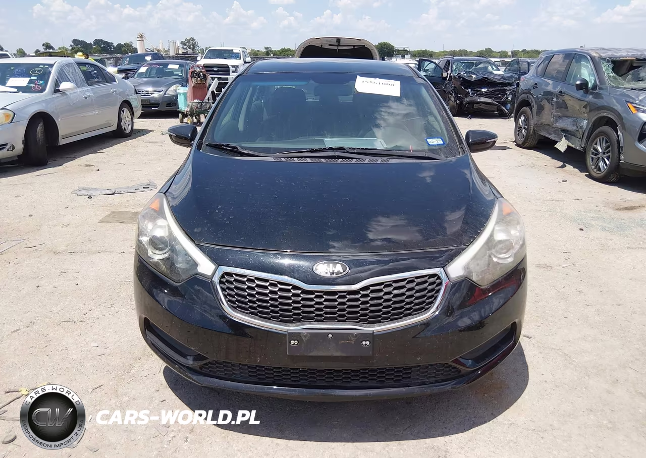 2014 Kia Forte Lx VIN:KNAFX4A63E5184339 - 12