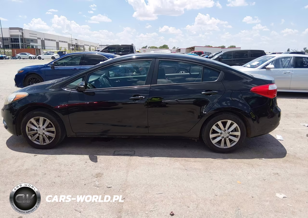 2014 Kia Forte Lx VIN:KNAFX4A63E5184339 - 14