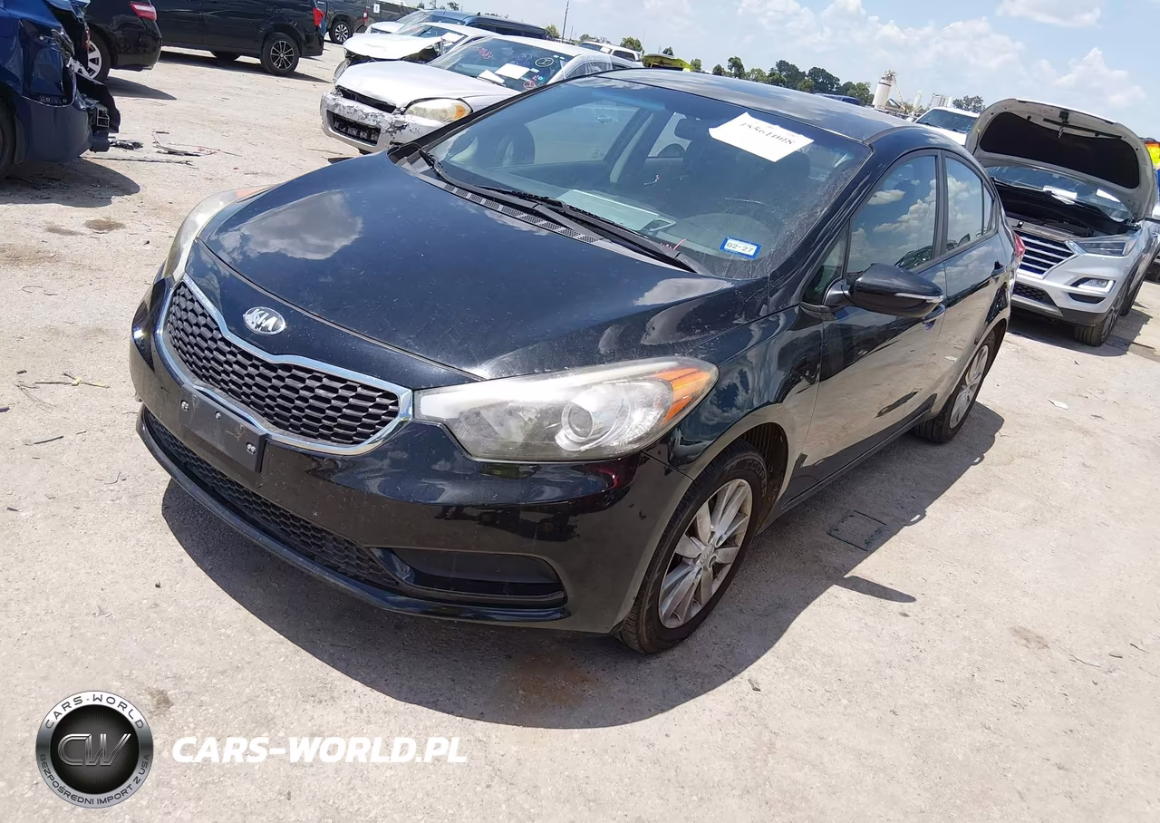 2014 Kia Forte Lx VIN:KNAFX4A63E5184339 - 2
