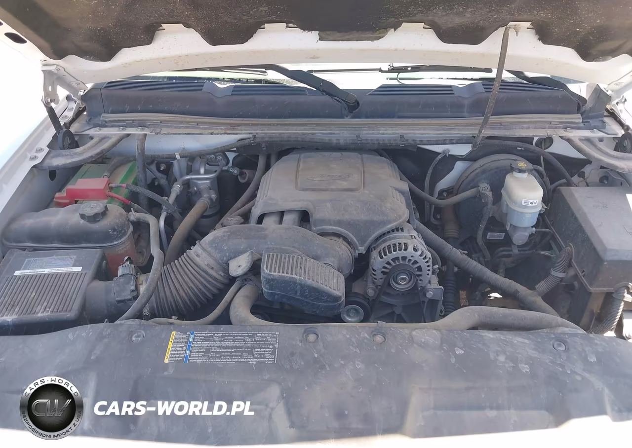 2010 Chevrolet Silverado 1500 Work Truck VIN:1GCPCPE06AZ205102 - 10