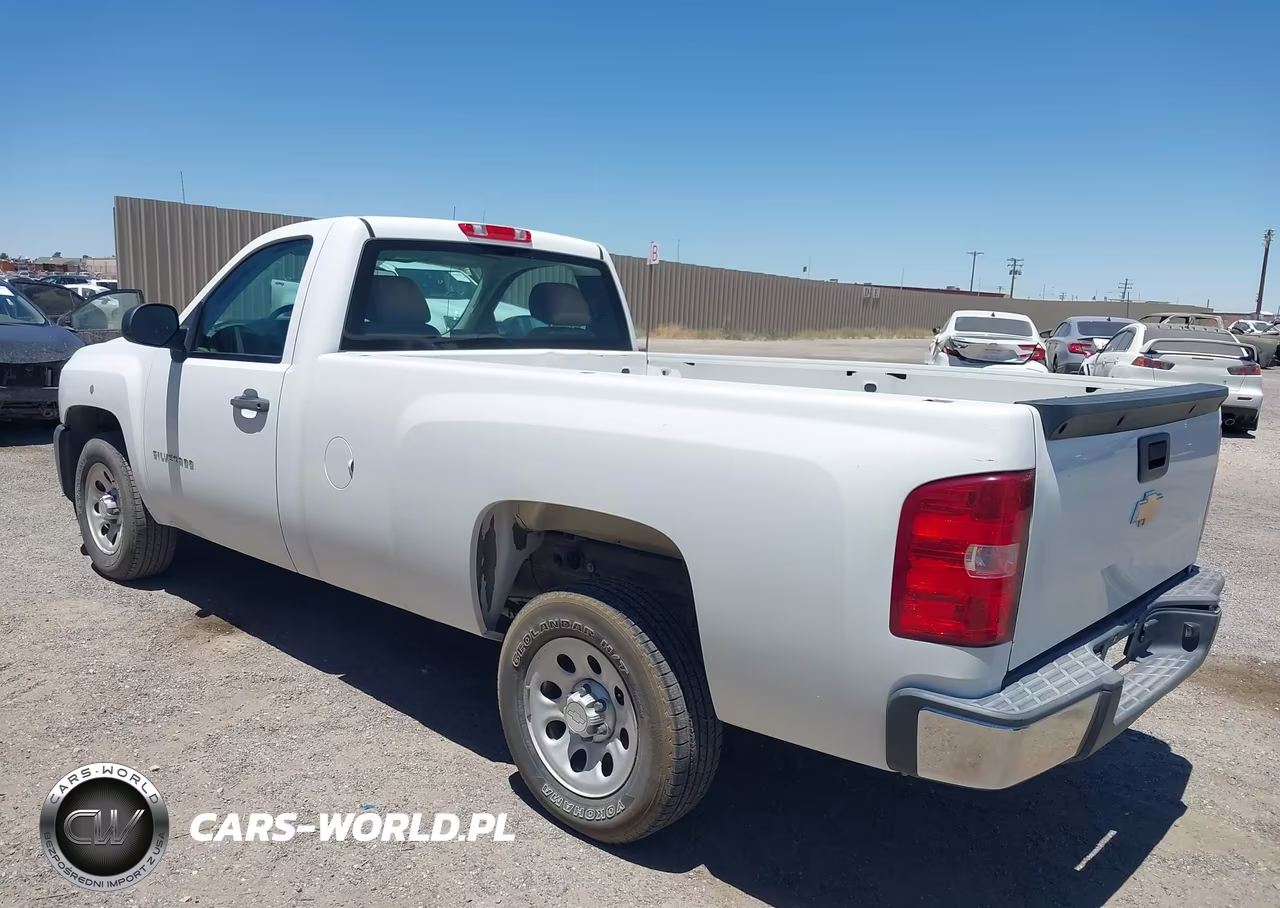 2010 Chevrolet Silverado 1500 Work Truck VIN:1GCPCPE06AZ205102 - 3