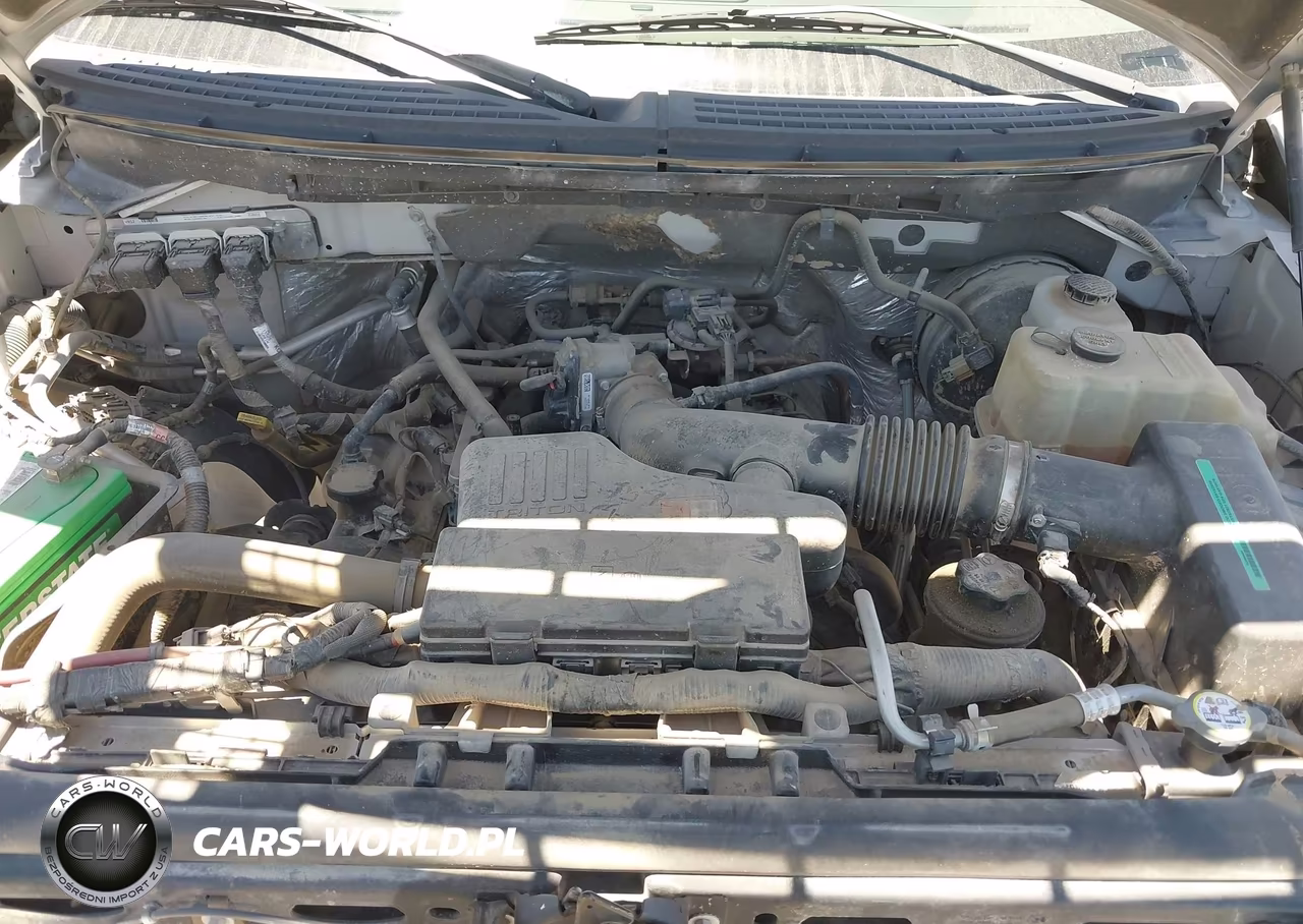 2010 Ford F-150 VIN:1FTMF1CW7AKA24811 - 10
