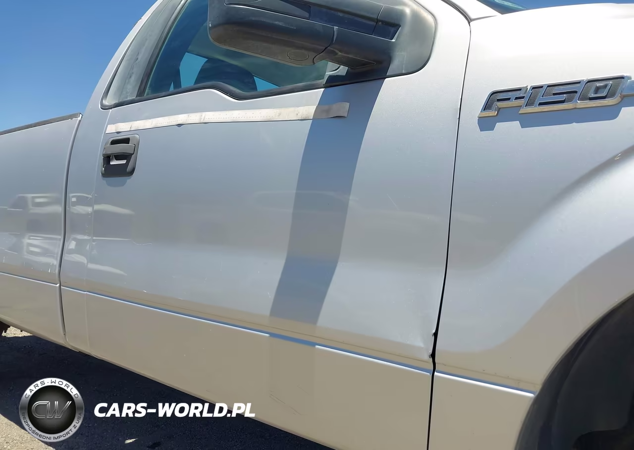 2010 Ford F-150 VIN:1FTMF1CW7AKA24811 - 6