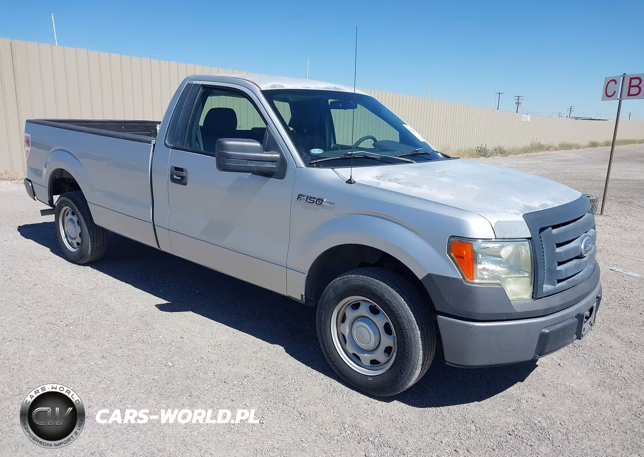 2010 Ford F-150