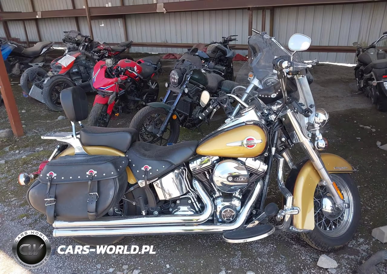 2017 Harley-Davidson Flstc Heritage Softail Classic VIN:1HD1BWV12HB016184 - 12