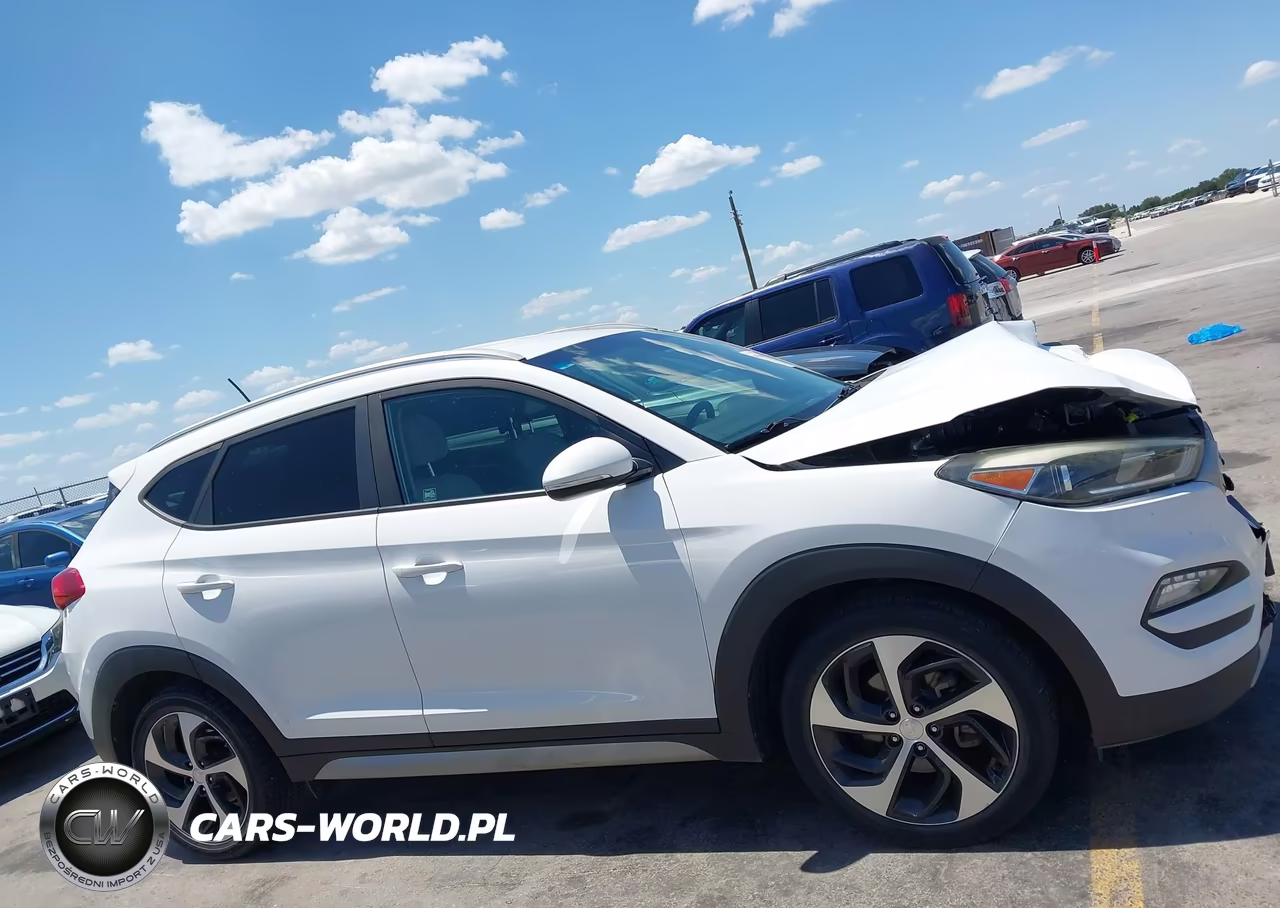 2017 Hyundai Tucson Eco VIN:KM8J33A29HU353740 - 13