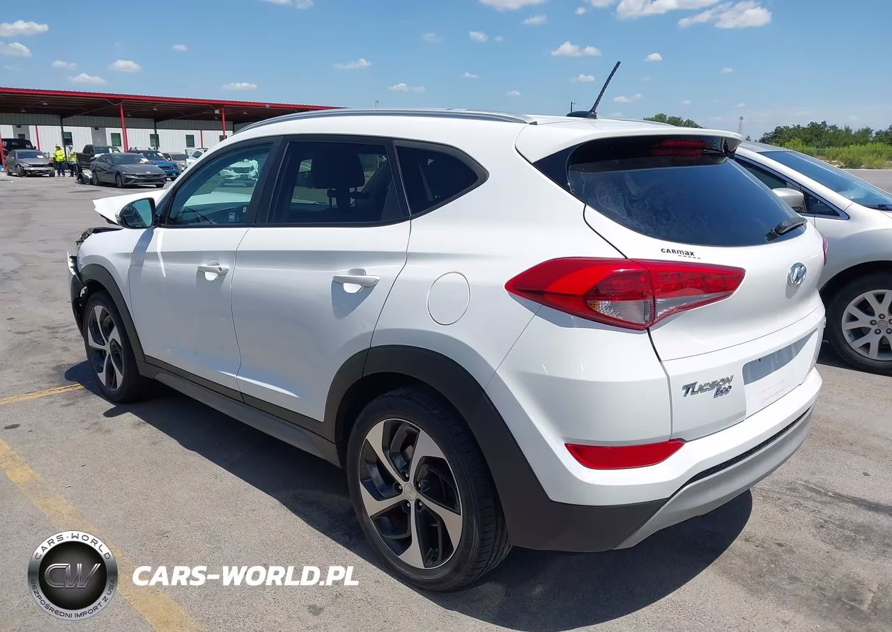 2017 Hyundai Tucson Eco VIN:KM8J33A29HU353740 - 3