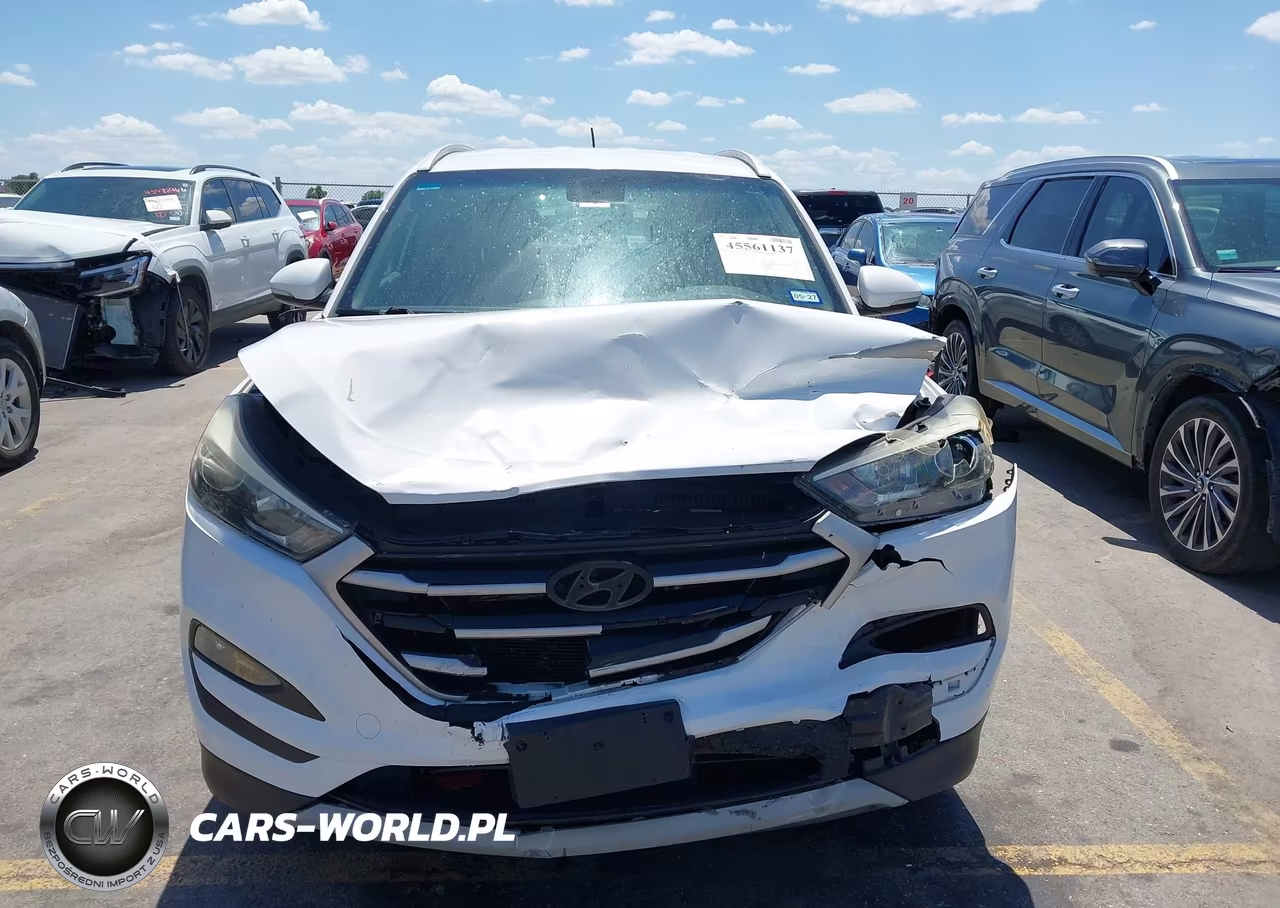 2017 Hyundai Tucson Eco VIN:KM8J33A29HU353740 - 6