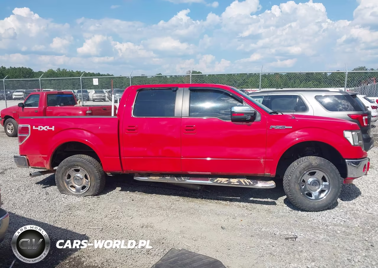 2009 Ford F-150 Fx4-King Ranch-Lariat-Platinum-Xl-Xlt VIN:1FTPW14V69FB17813 - 13