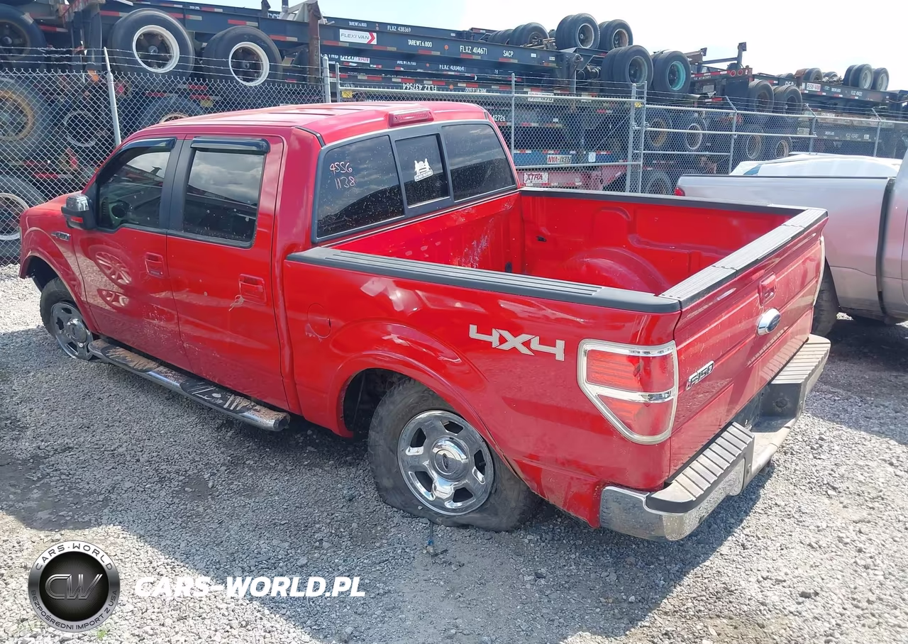 2009 Ford F-150 Fx4-King Ranch-Lariat-Platinum-Xl-Xlt VIN:1FTPW14V69FB17813 - 3