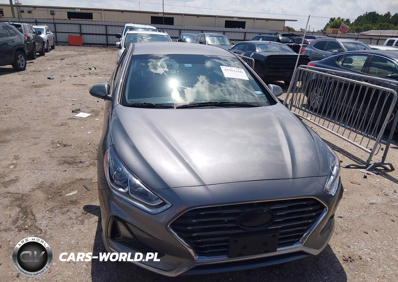 2019 Hyundai Sonata Se VIN:5NPE24AF7KH801959 - 12