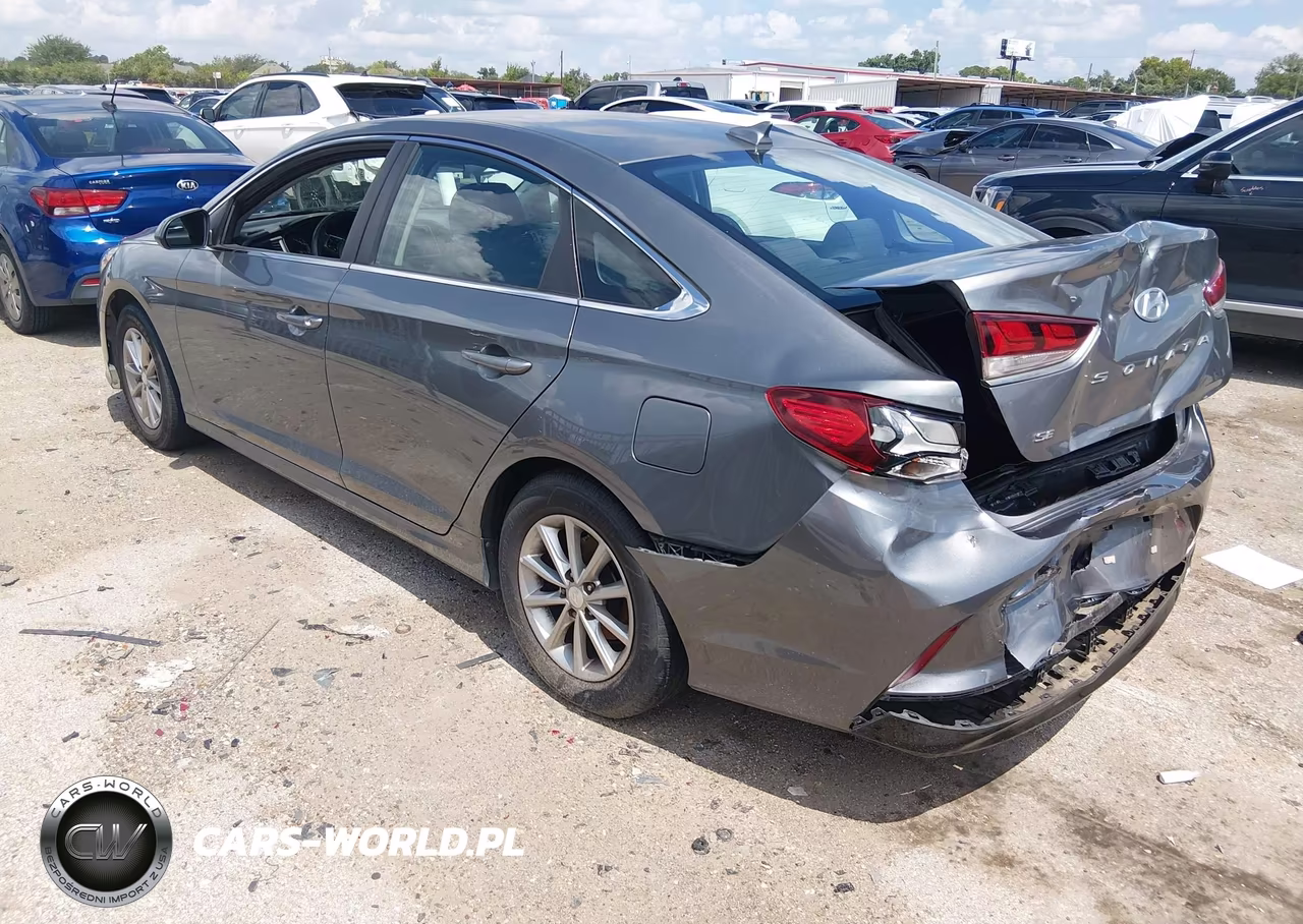 2019 Hyundai Sonata Se VIN:5NPE24AF7KH801959 - 3