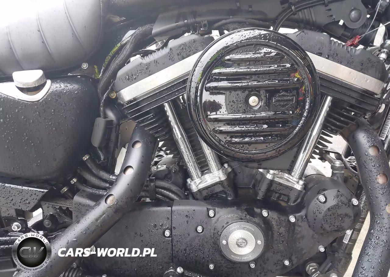 2021 Harley-Davidson Xl883 N VIN:1HD4LE217MB419841 - 8
