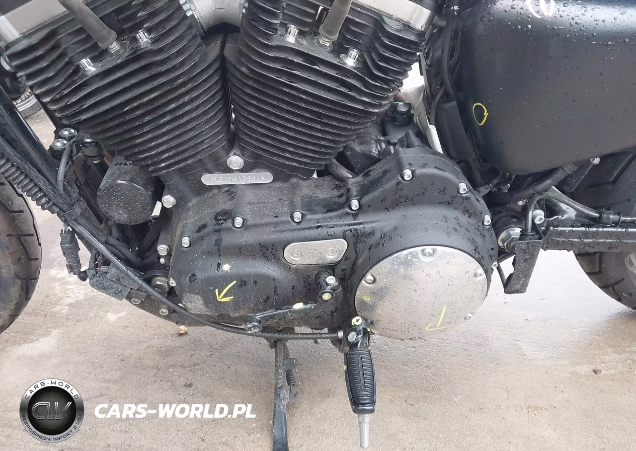 2021 Harley-Davidson Xl883 N VIN:1HD4LE217MB419841 - 9