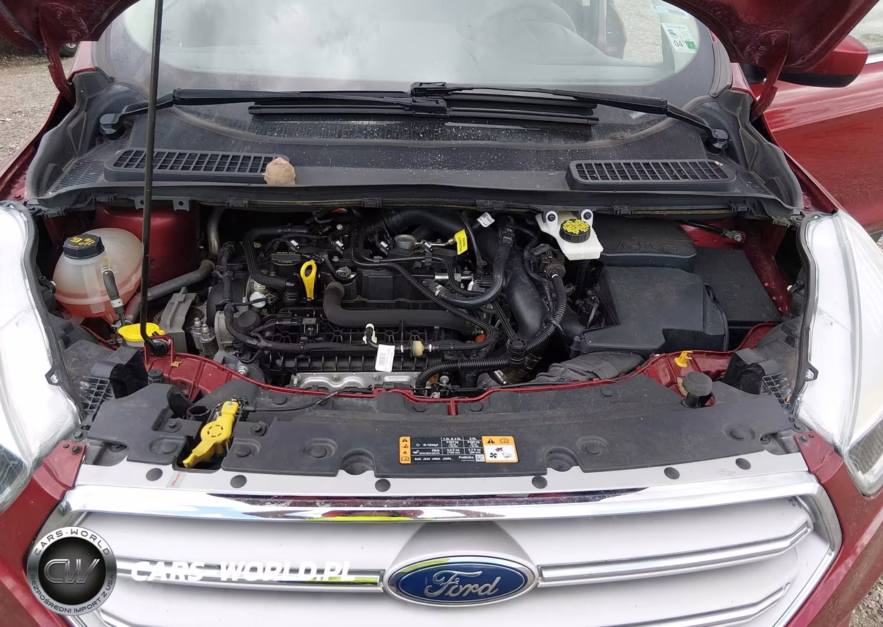 2019 Ford Escape Se VIN:1FMCU0GD2KUA62923 - 10