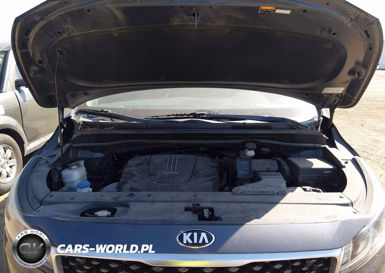 2018 Kia Sedona Sx VIN:KNDMC5C19J6389066 - 10
