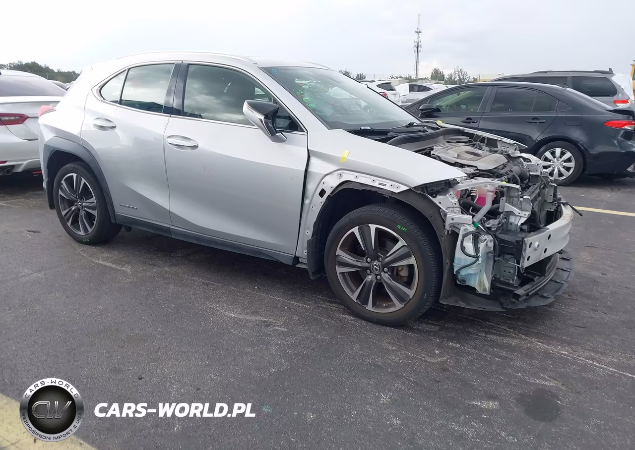 2019 Lexus Ux 250H