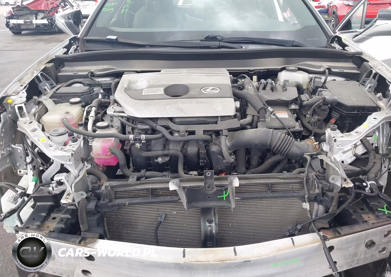 2019 Lexus Ux 250H VIN:JTHU9JBHXK2002229 - 10