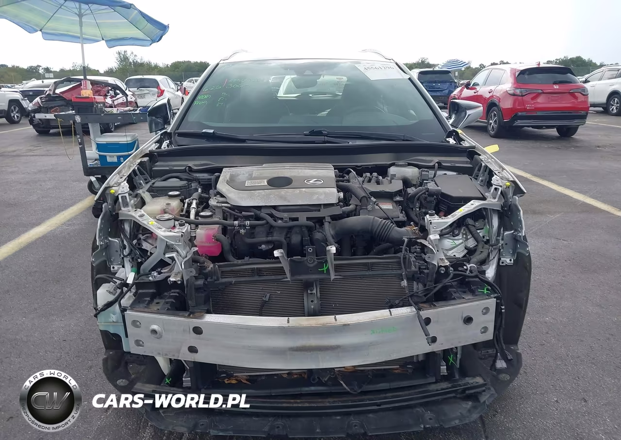 2019 Lexus Ux 250H VIN:JTHU9JBHXK2002229 - 13