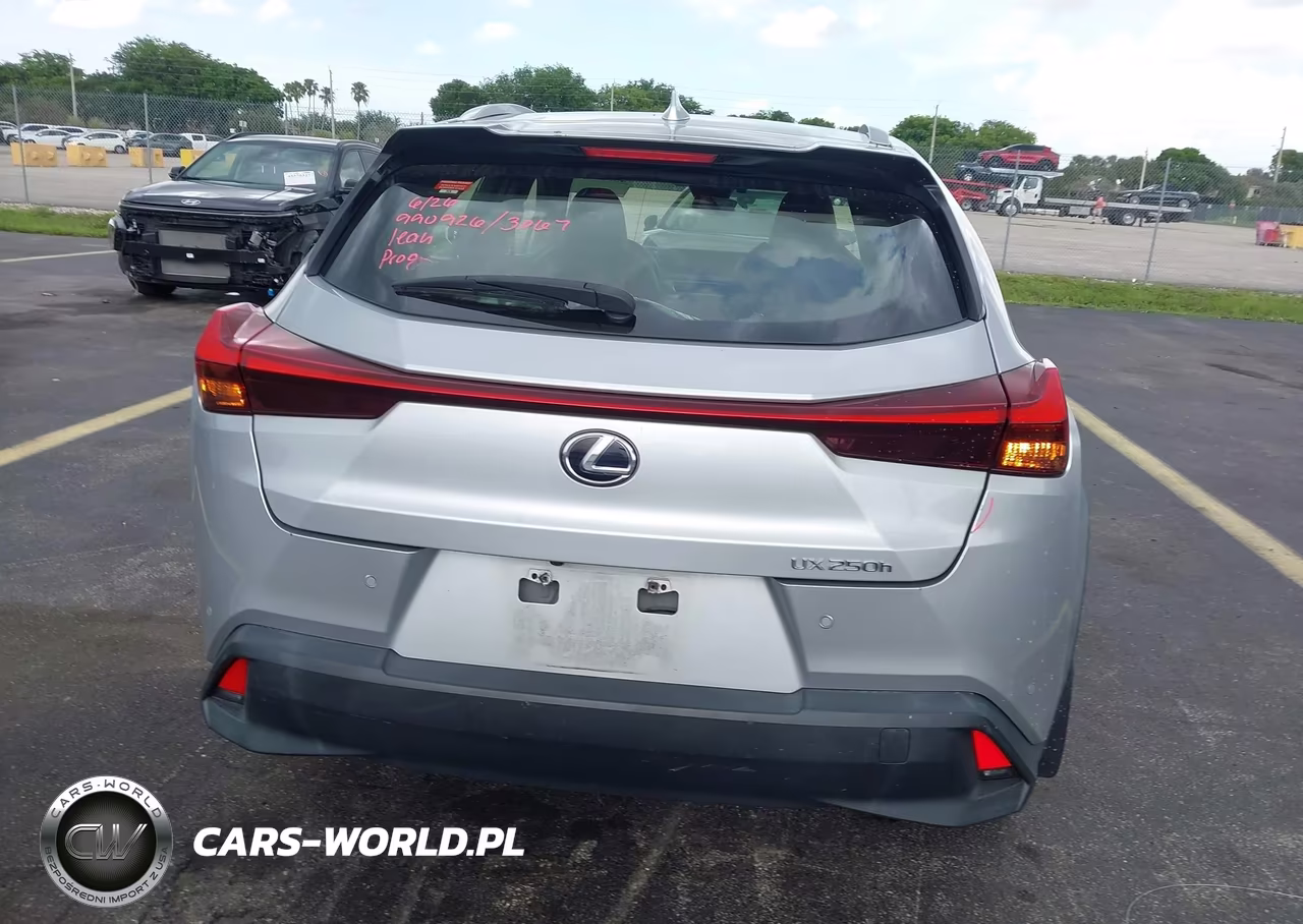 2019 Lexus Ux 250H VIN:JTHU9JBHXK2002229 - 17