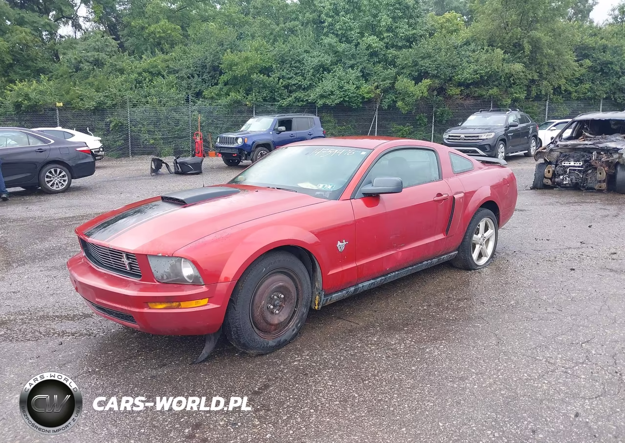 2009 Ford Mustang V6-V6 Premium VIN:1ZVHT80N195124652 - 2