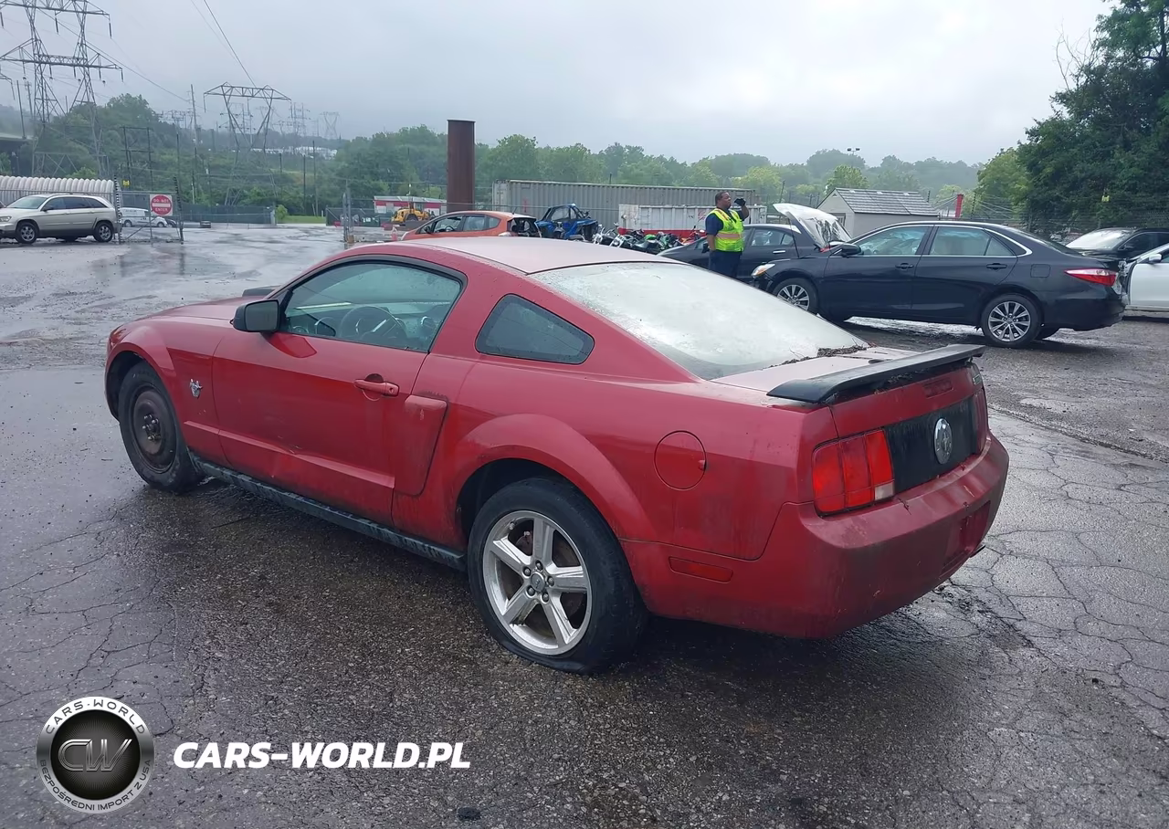 2009 Ford Mustang V6-V6 Premium VIN:1ZVHT80N195124652 - 3