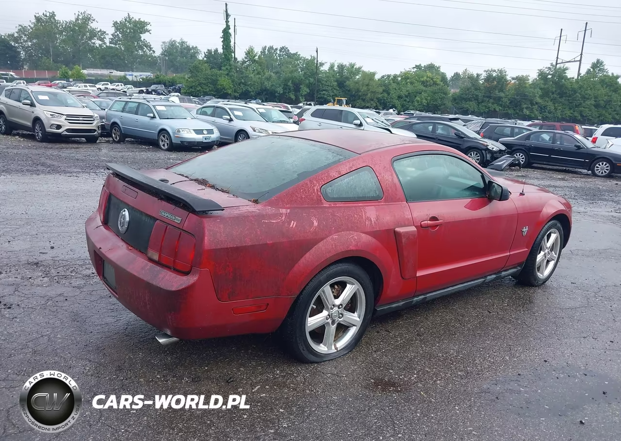 2009 Ford Mustang V6-V6 Premium VIN:1ZVHT80N195124652 - 4