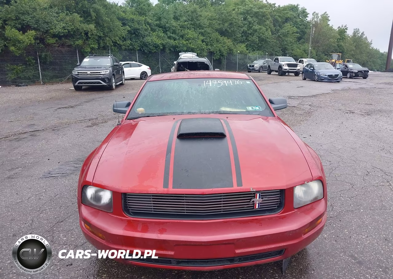 2009 Ford Mustang V6-V6 Premium VIN:1ZVHT80N195124652 - 6