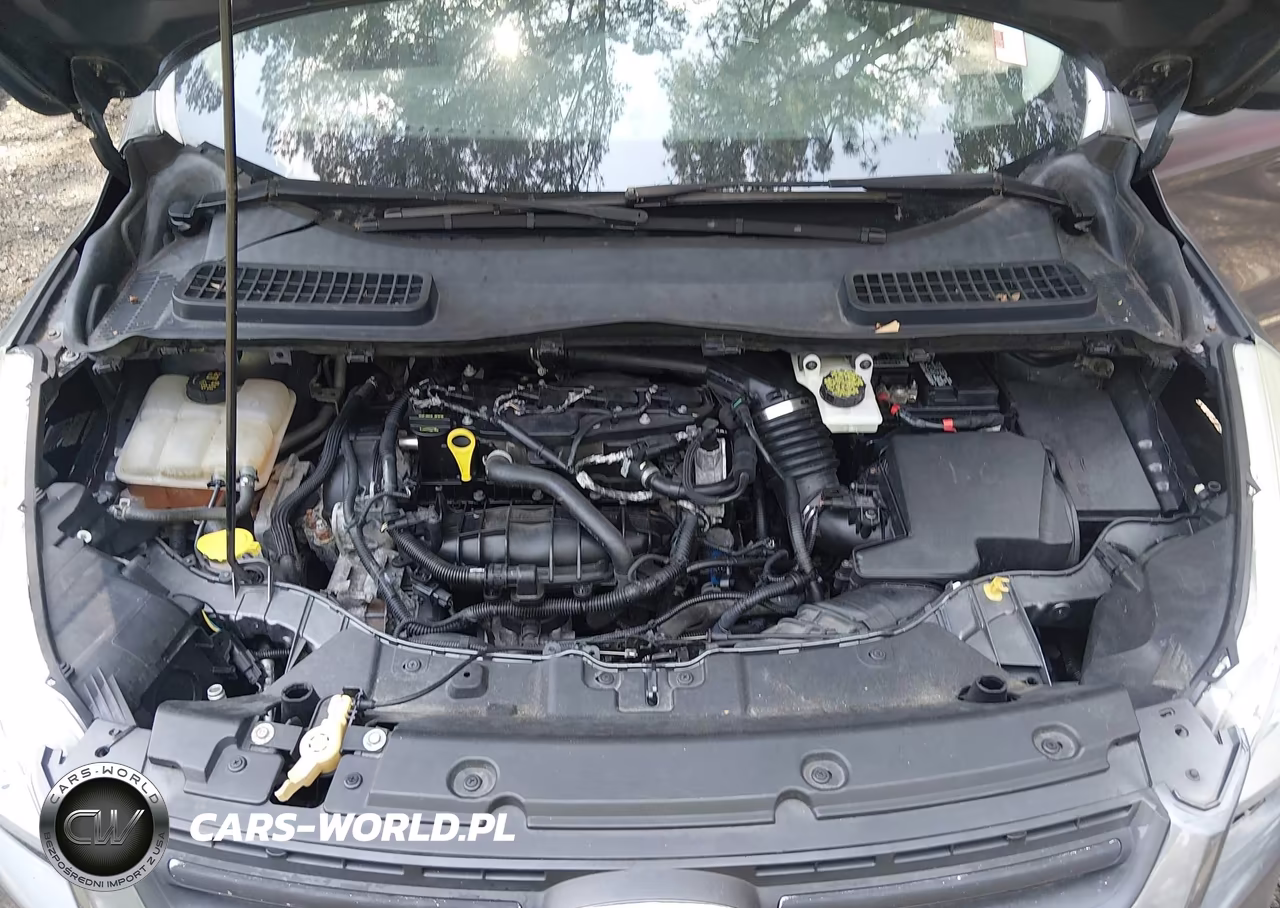 2013 Ford Escape Se VIN:1FMCU0GX0DUA46538 - 10