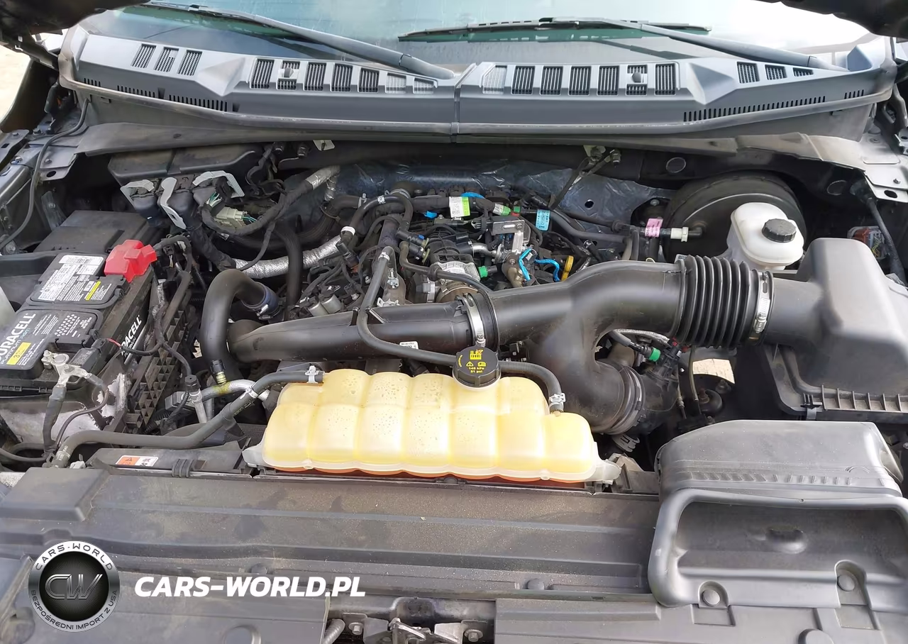 2019 Ford F-150 Lariat-Xl-Xlt VIN:1FTEW1CP0KKC14416 - 10
